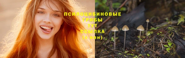 каннабис Алексеевка