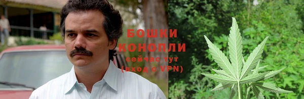 каннабис Алексеевка