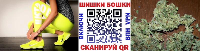 Канабис гибрид Новопавловск